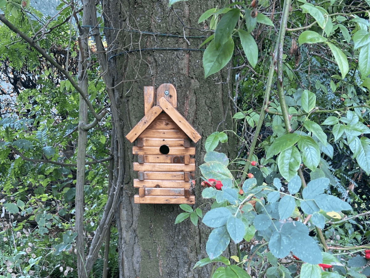 Fauna Controleur Venray